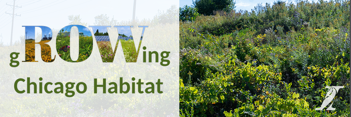 Illinois Tollway and gROWing Chicago Habitat Working Group Committed To Creating Pollinator-Friendly Habitats